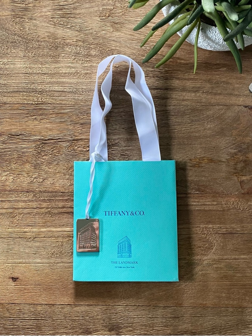 TIFFANY & CO. - Small Blue Landmark Exclusive Gift Bag with Bag Charm